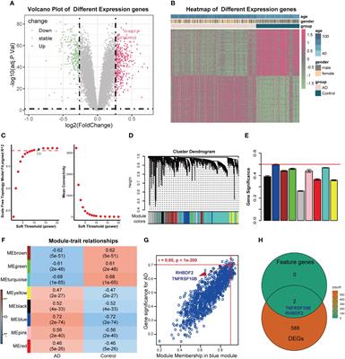 Unveiling Immune-related feature genes for Alzheimer’s disease based on machine learning